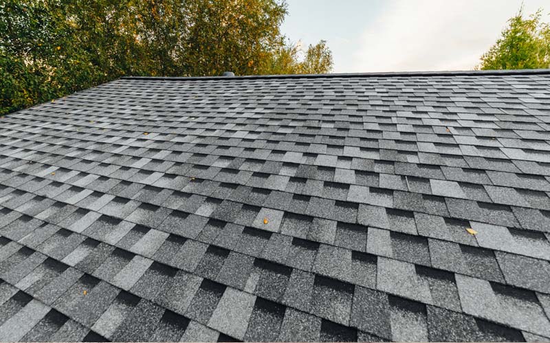 Roof Cleaning